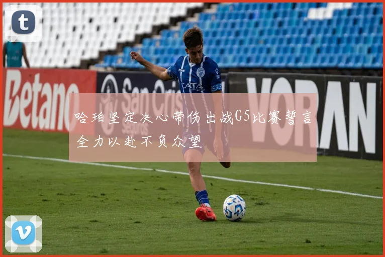 哈珀坚定决心带伤出战G5比赛誓言全力以赴不负众望